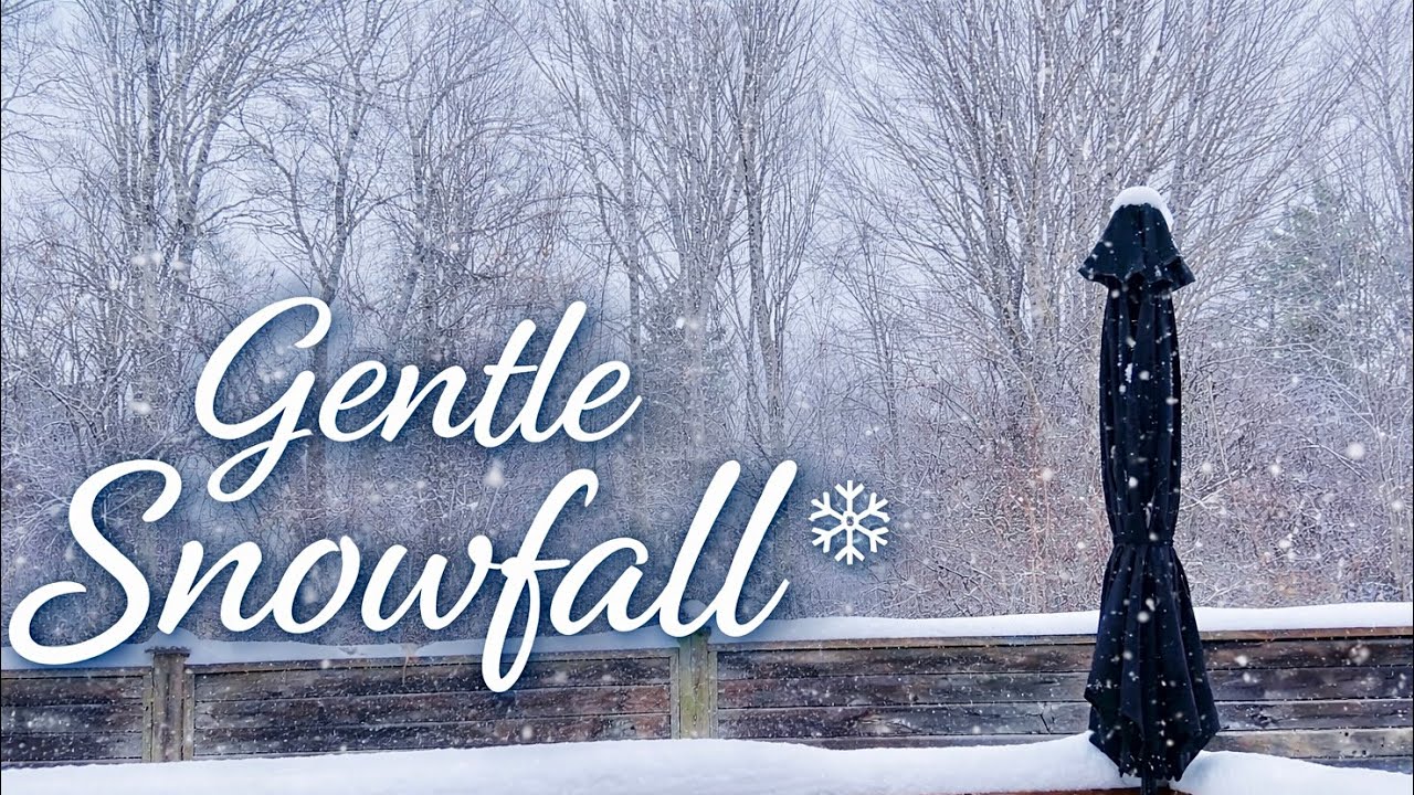 Gentle Snowfall on a Quiet Patio | 5 Hours of Relaxing Winter Ambience