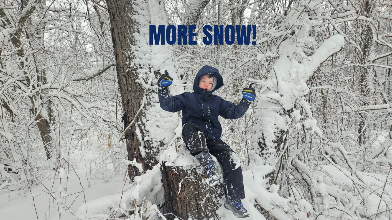 Snow at the homestead
