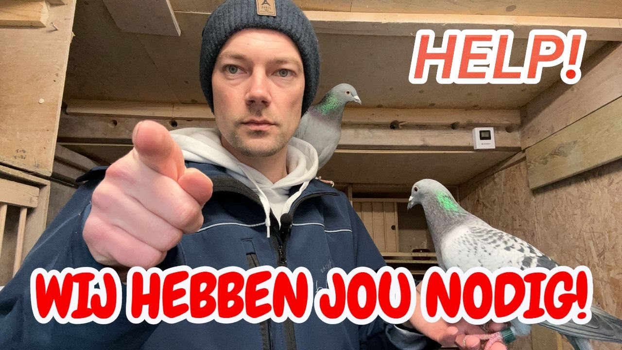 HELP! Kijk Niet Weg – Wij Hebben JOU Nodig 🕊️