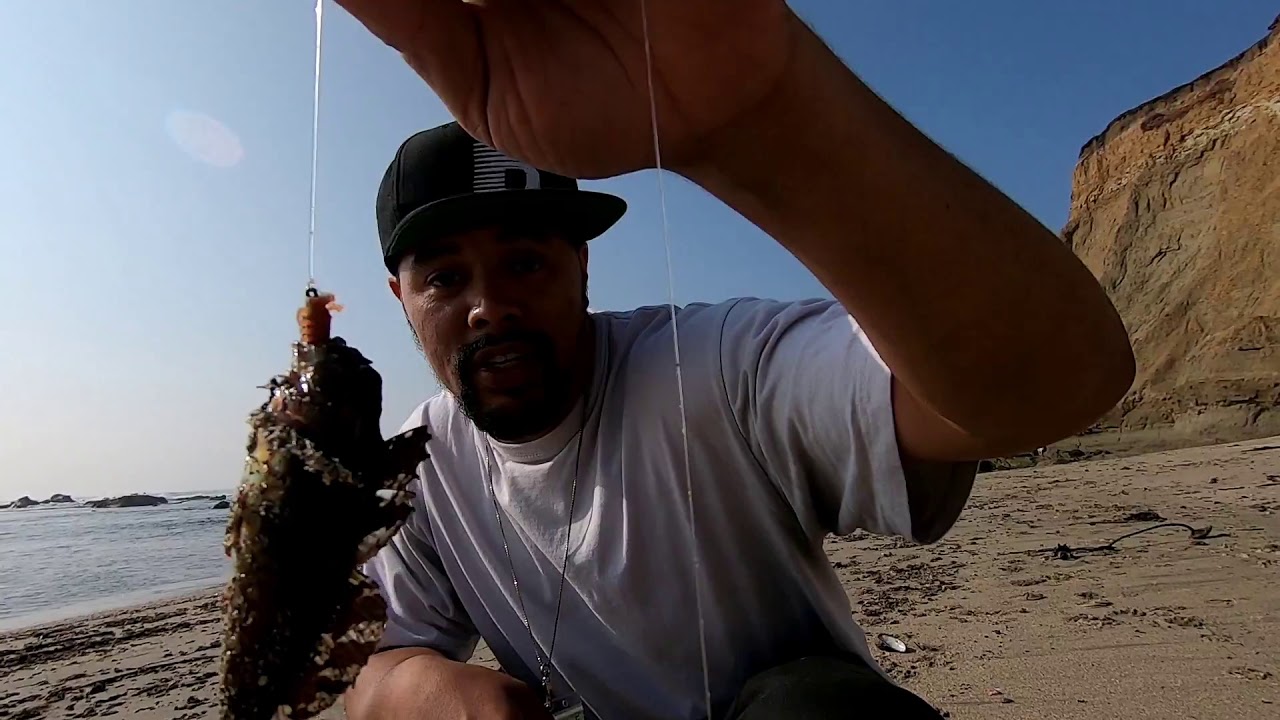 It Gets Reel Fishing Montage