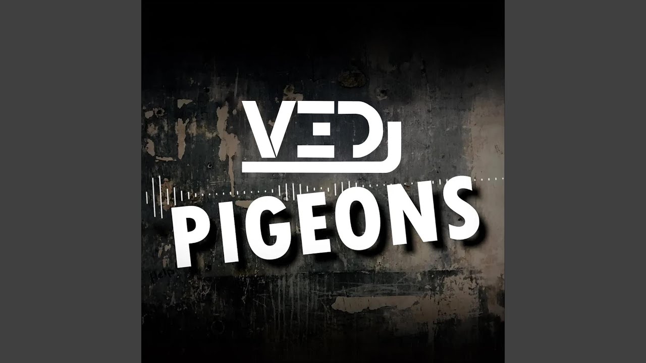 Pigeons