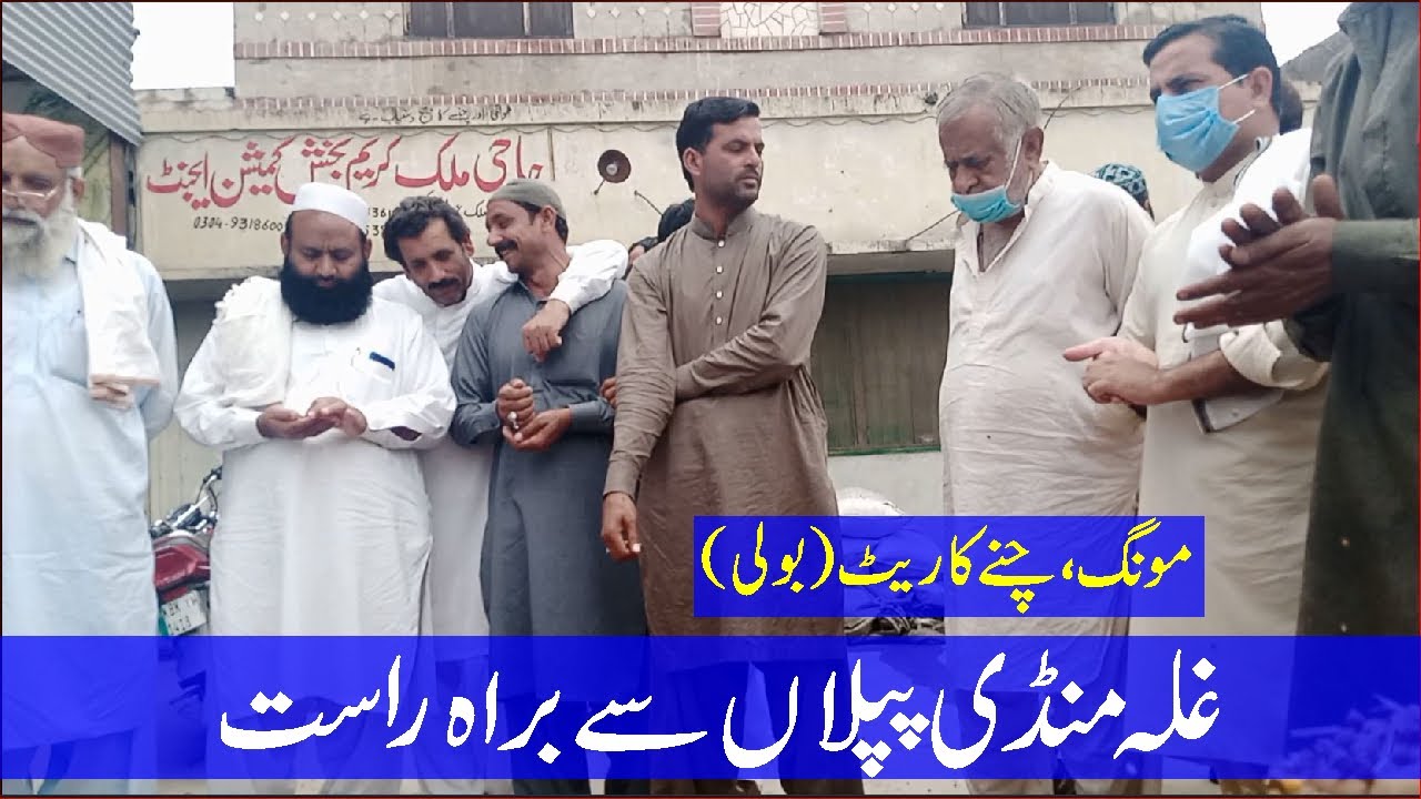 Ghala Mandi Piplan Rates Update (Live) Chana Mongi Boli rate ll Bashir Sandhila