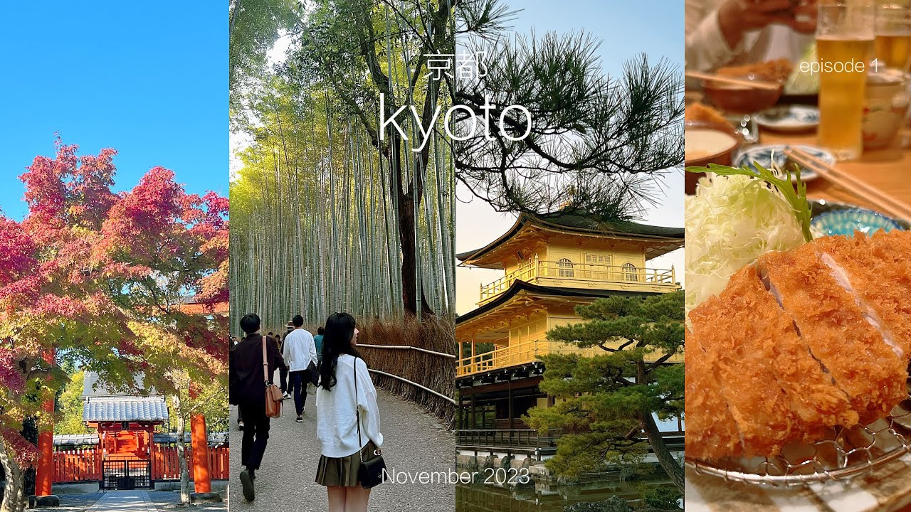 Japan Travel Vlog 🇯🇵 Kyoto in November 2023 | scenic train, arashiyama, kinkakuji, tonkatsu 🍱