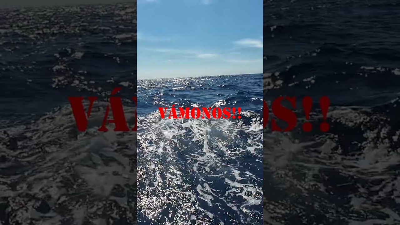 ENCUENTRO CON UN GIGANTE MARINO