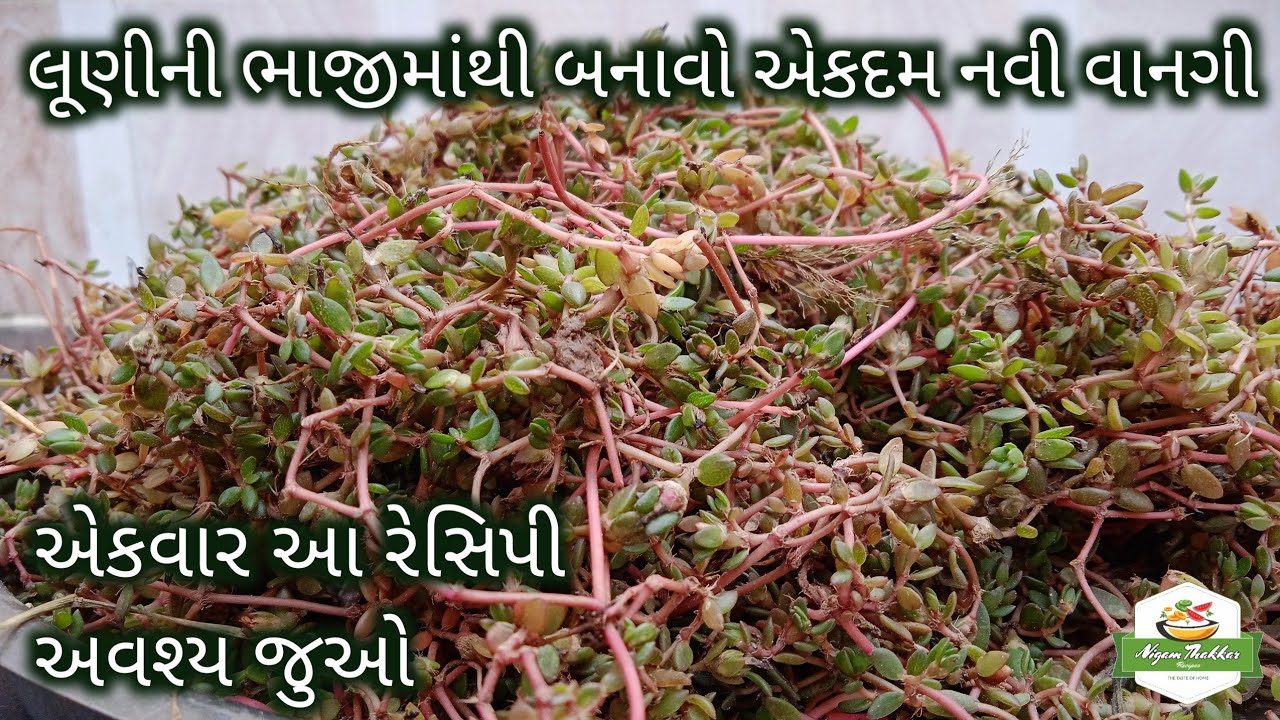 લૂણીની ભાજીમાંથી બનાવો એકદમ સ્વાદિષ્ટ નવી વાનગી | Luni Ni Bhaji Recipe by Nigam Thakkar