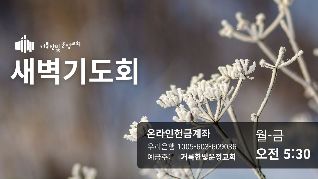 260212 새벽기도회 