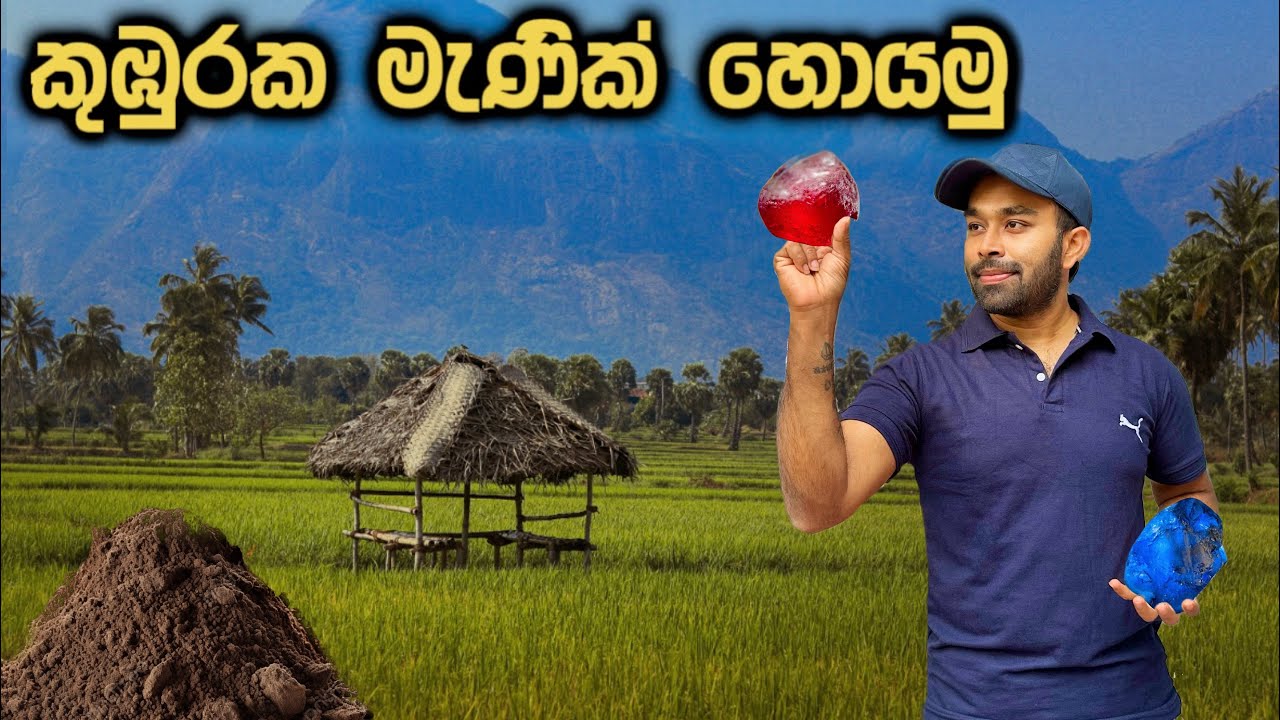 කුඹුරක මැණික් හොයන්න පටන් ගත්තා - We Started To Find Gemstone In Ceylon Paddy Fields - Day 1 #gems 