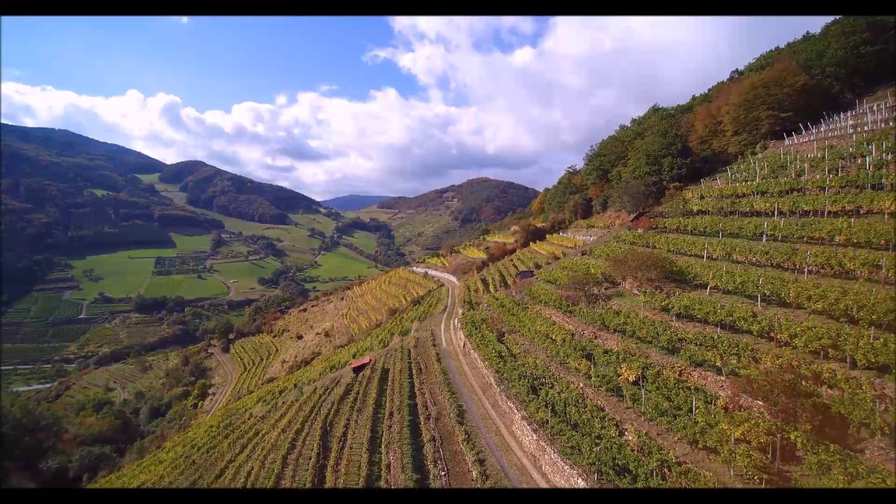 Wachau von oben. 2016