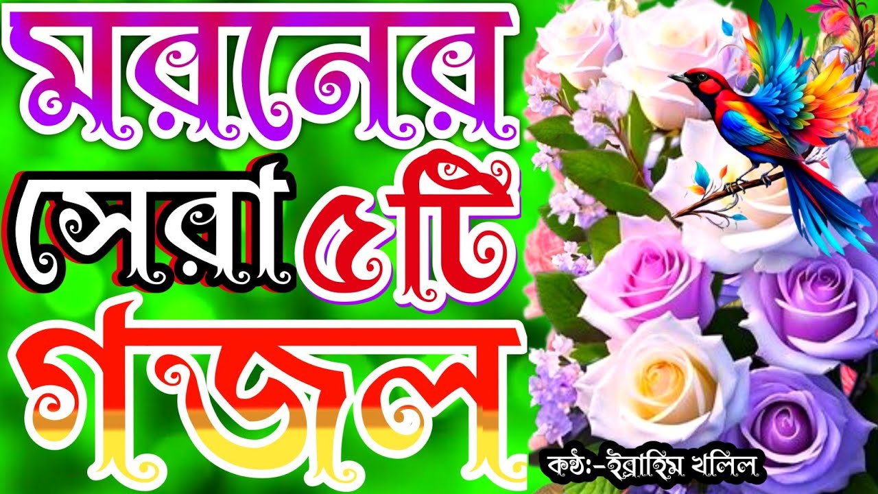 খুব সুন্দর জীবন বদলে দেওয়ার মতো সেরা ৫টি গজল | গজল | gojol bangla | gojol | bangla gojol | gojol |