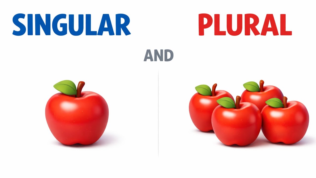 Singular and Plural Nouns | Singular and Plural Nouns Made Easy for Kids | Grammar Basics For Kids