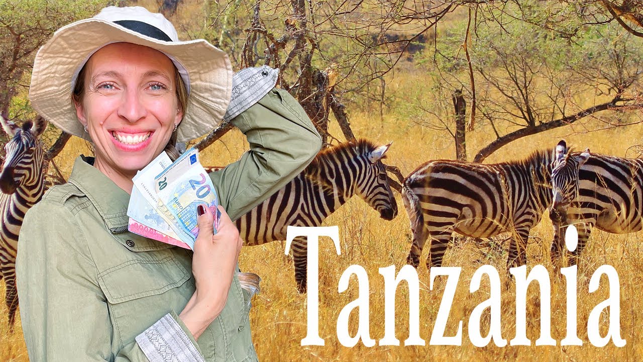 ¿Cuánto cuesta un safari? Ejemplos con precio y 3 TIPS para un safari barato