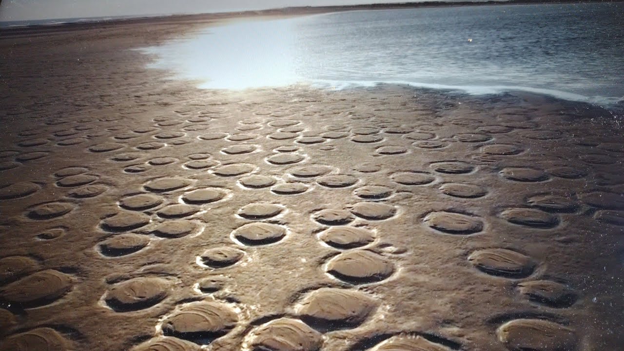 Salin de Giraud , plage de Piémanson , Point d'observation