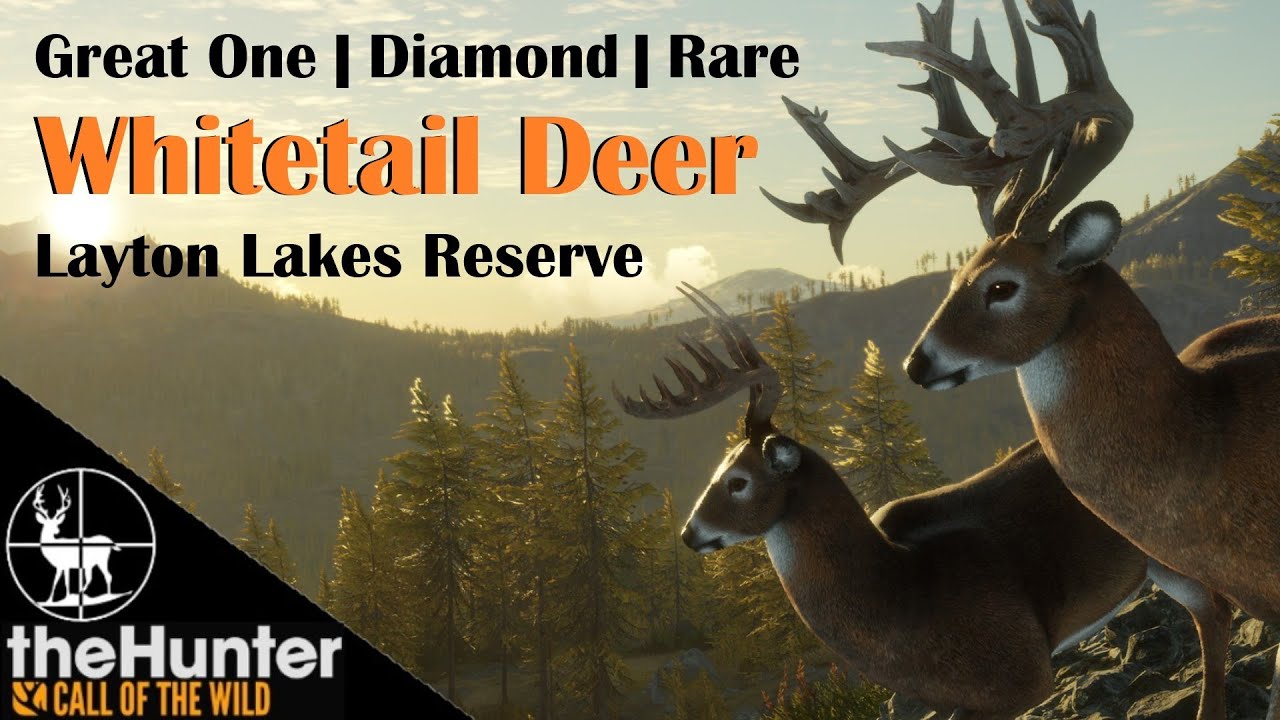 How to Setup a Whitetail Great One Grind on Layton Lakes 👑 Great One Grind EP01👑 theHunter COTW