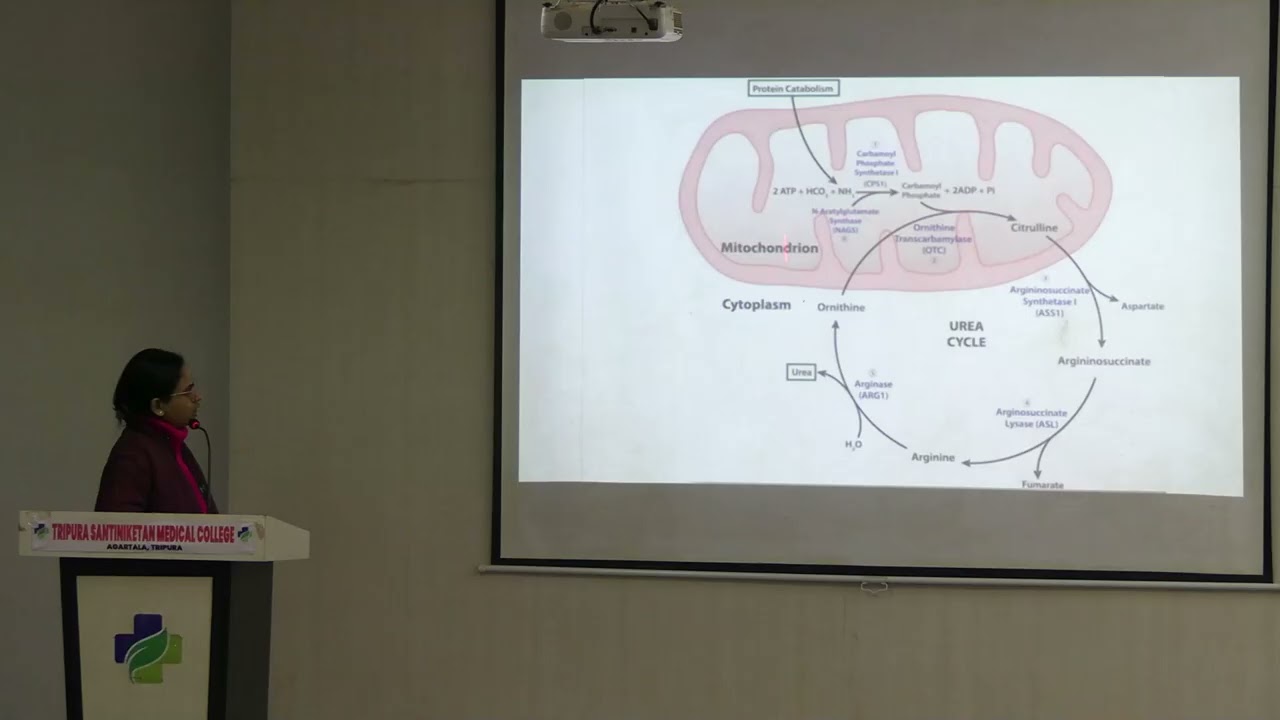 LECTURE ON   UREA CYCLE AND DISORDERS , BY  DR   DEBAMITA DATTA | MBBS | TSMC