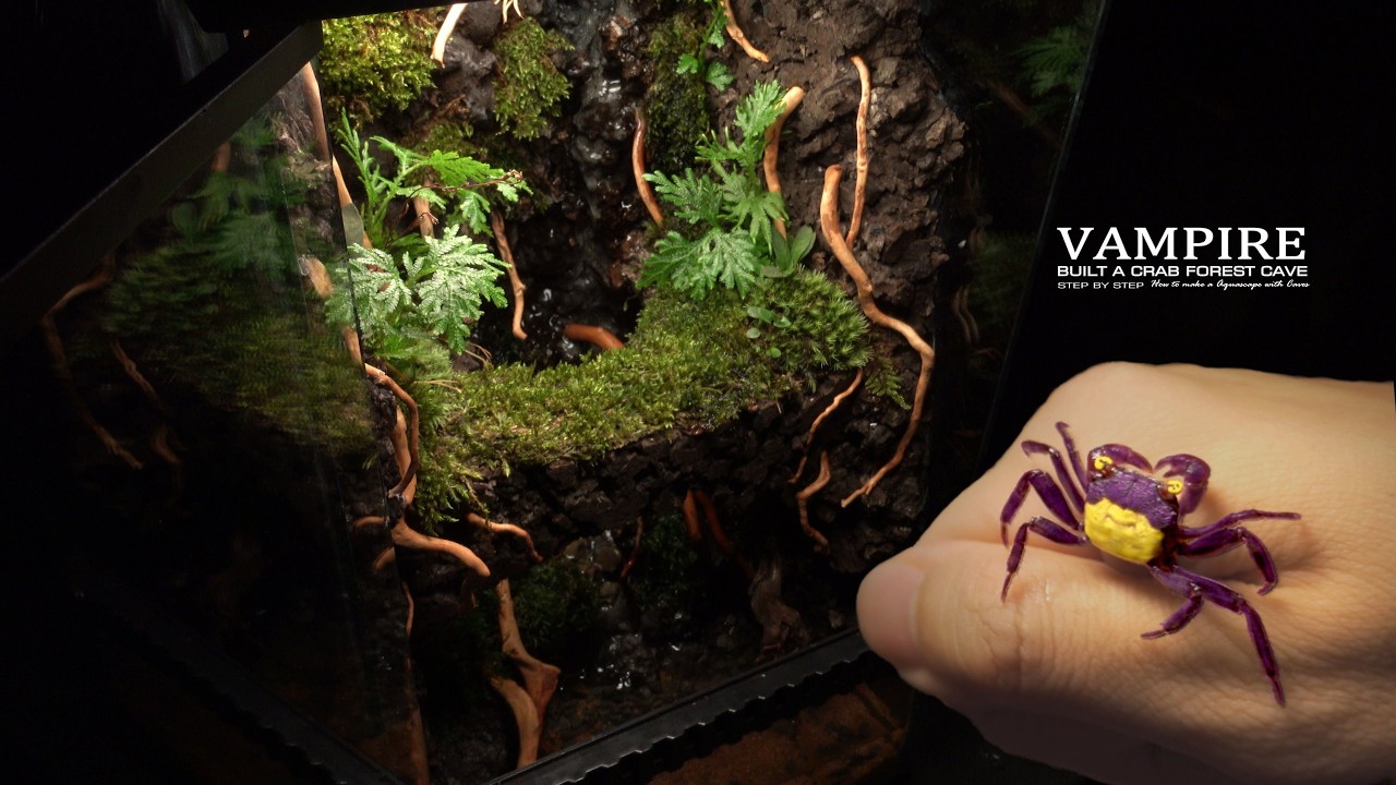 Make Devil Vampire Crab Ecosystem Cave Tank l Six Paludarium in A Year