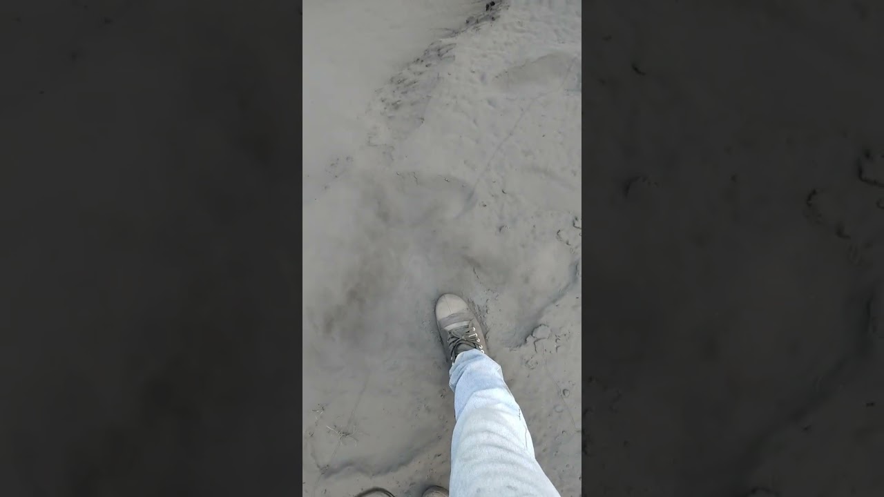coal dust