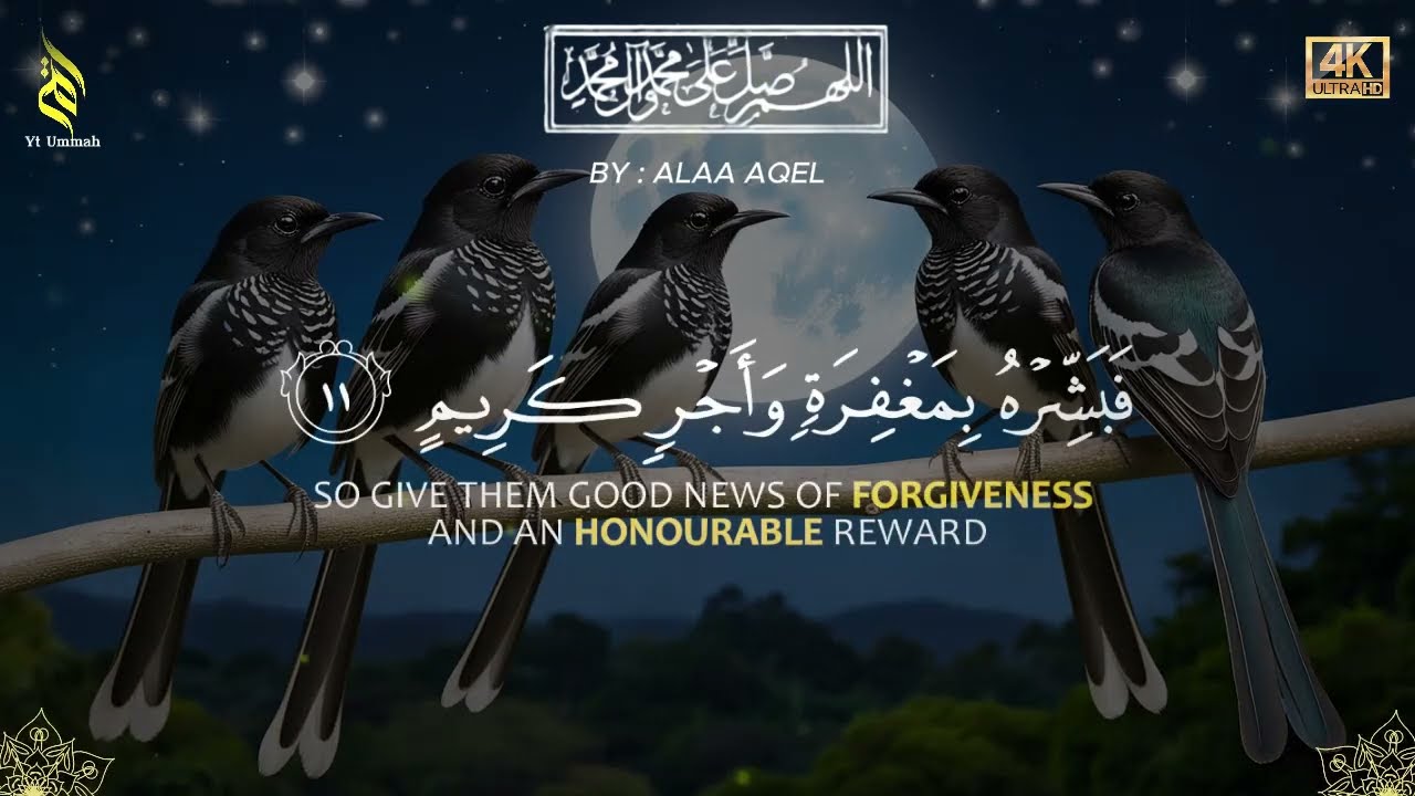 Quran recitation in a peaceful voice I Alfatiha, ayat alkursi, yasin, alwaqiah, arrahman, Alaa aqel