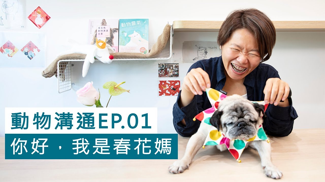 動物溝通大解密  EP.01 大家好，我是春花媽