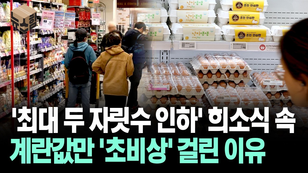 [뉴스'함'] '최대 두자리 수 인하' 희소식 속... 계란값만 '초비상' 걸린 이유
