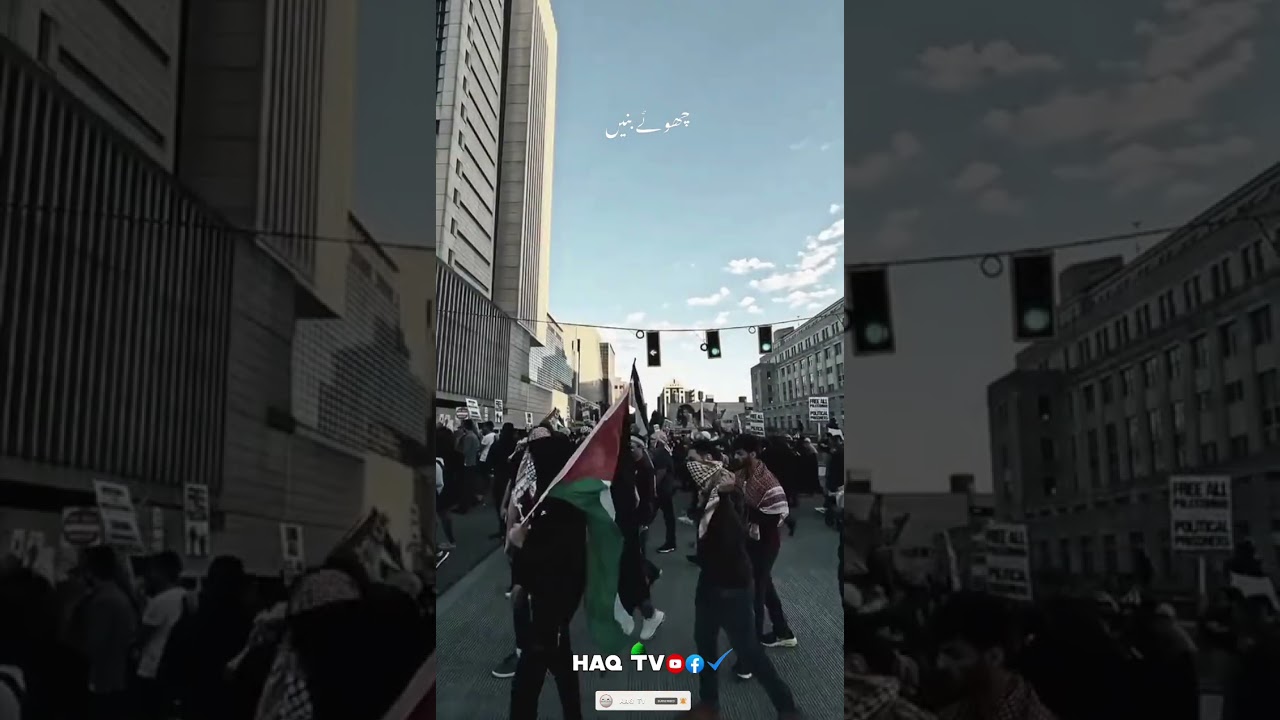 🇵🇸Free Palestine 