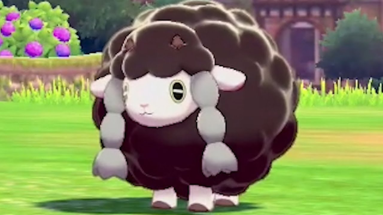 Beating Pokemon Sword and Shield Using Only Shiny Wooloo - Day One
