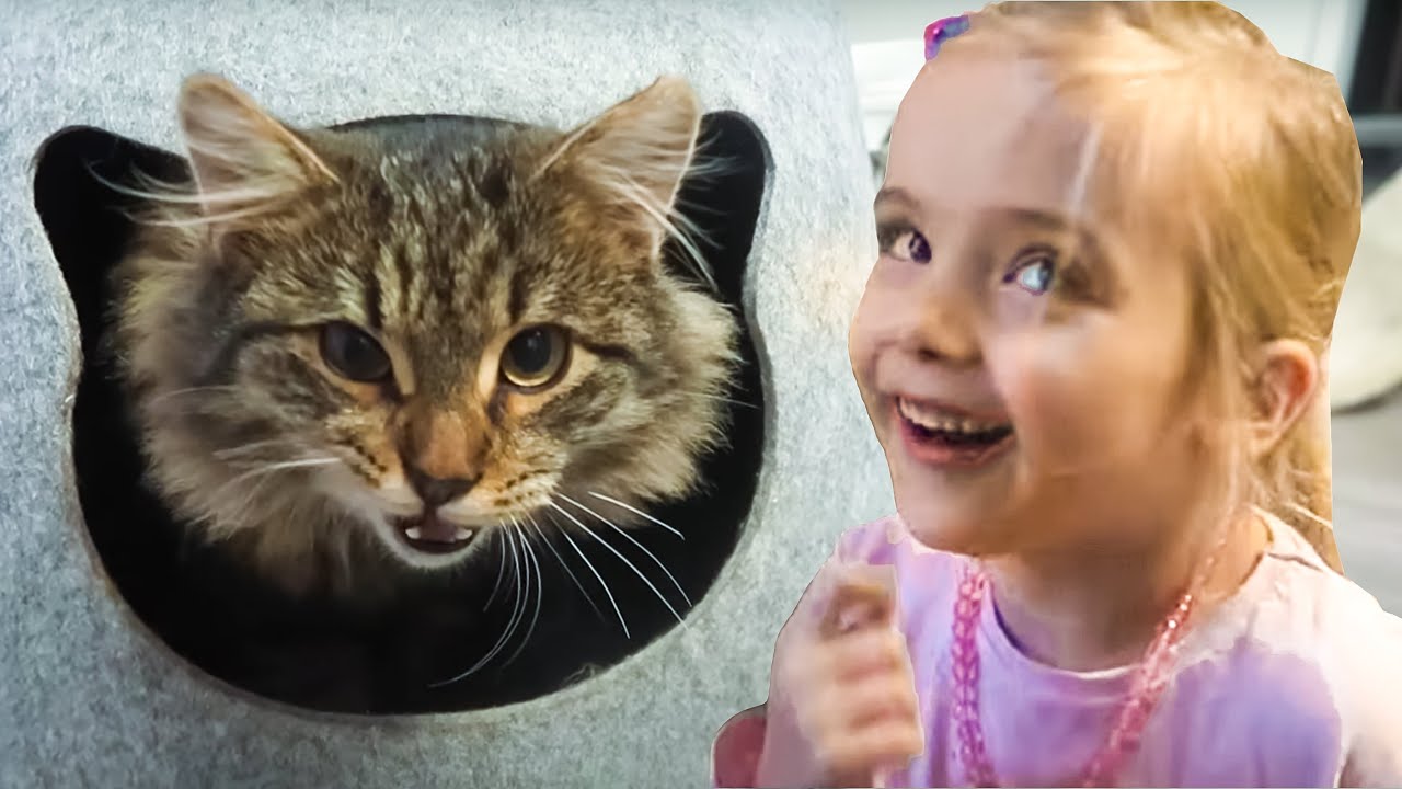 Paulina möchte eine Katze haben 😺 Katzenmama auf Probe und die Kinder spielen mit der süßen Katze 😻