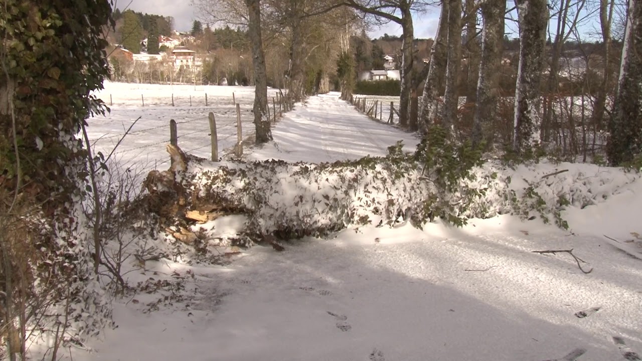 Des arbres sont tomb&eacute;s &agrave; Orcines