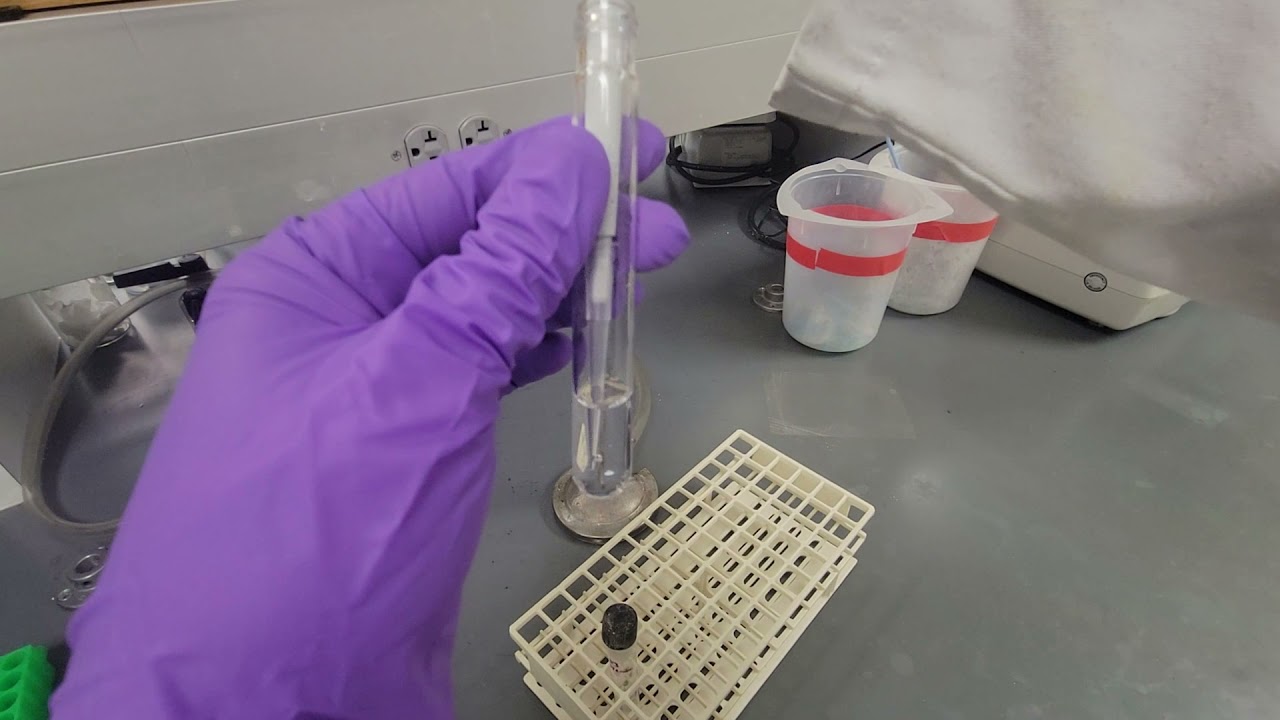 Protocol for bacterial growth curve of Acinetobacter radioresistens 50v1