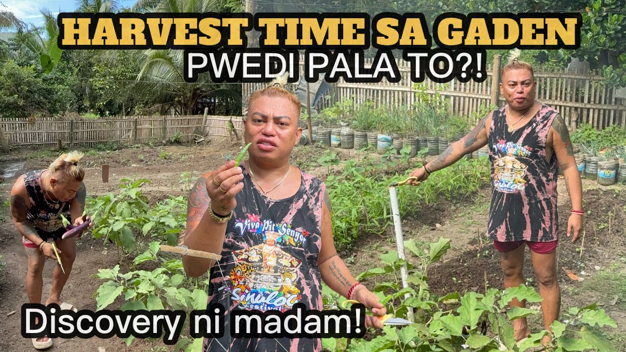 HARVEST NG GULAY SA GARDEN | MAY NA DISCOVER SI MADAM | PWEDI PALA TO!  @SimplyAmory 