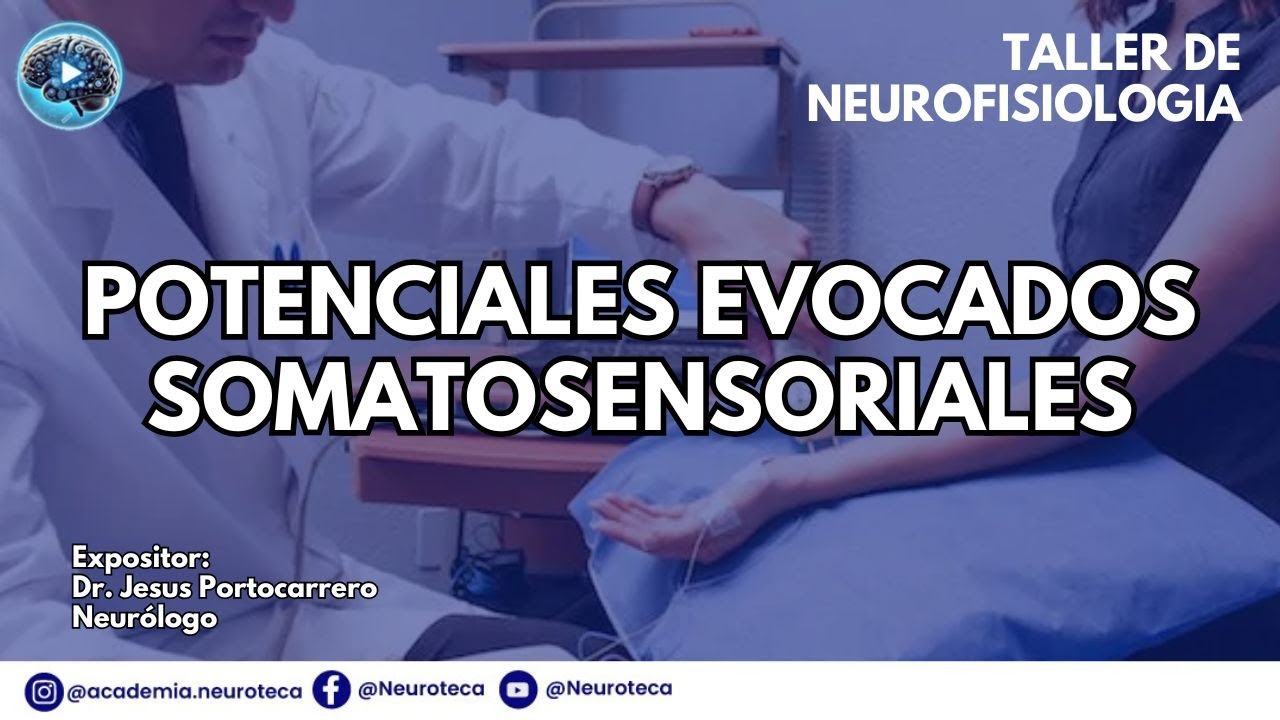 POTENCIALES EVOCADOS SOMATOSENSORIALES