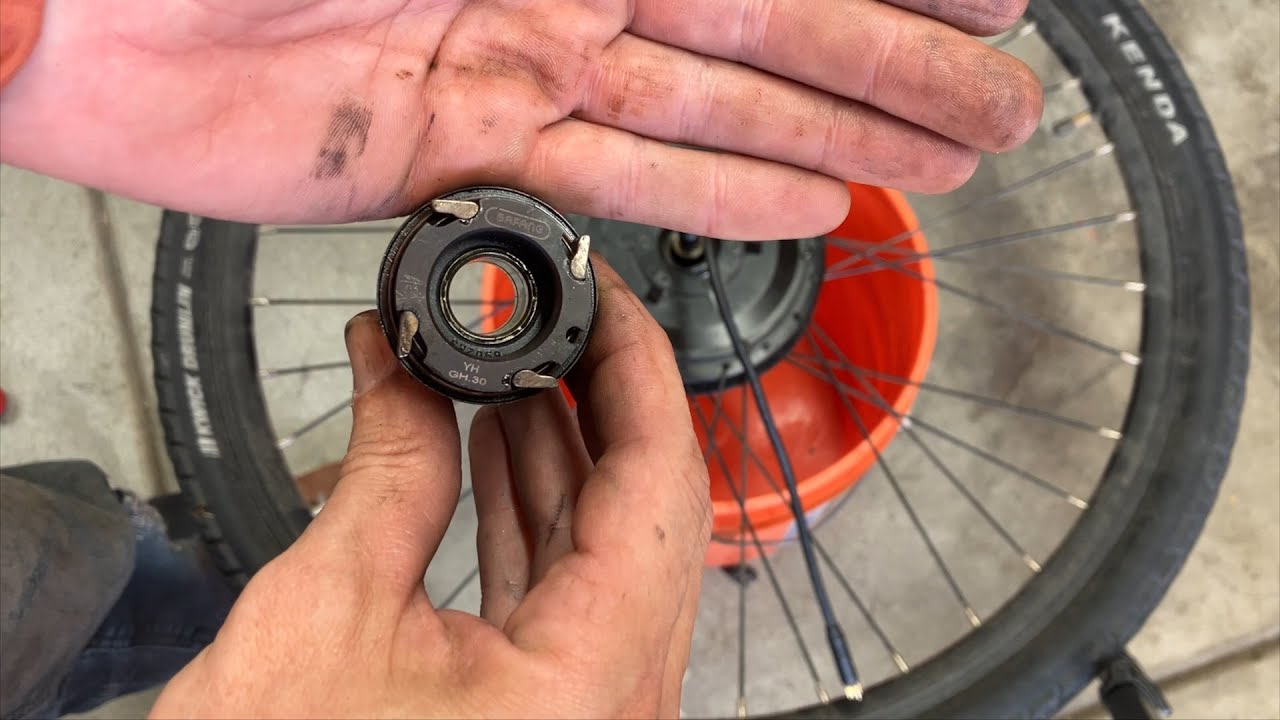 Bird Ebike Freewheel repair at 2,800 miles