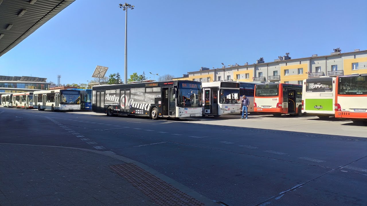 MAZ 203.069 #116 - Nowak Transport Świerklaniec (Linia 615) [*]