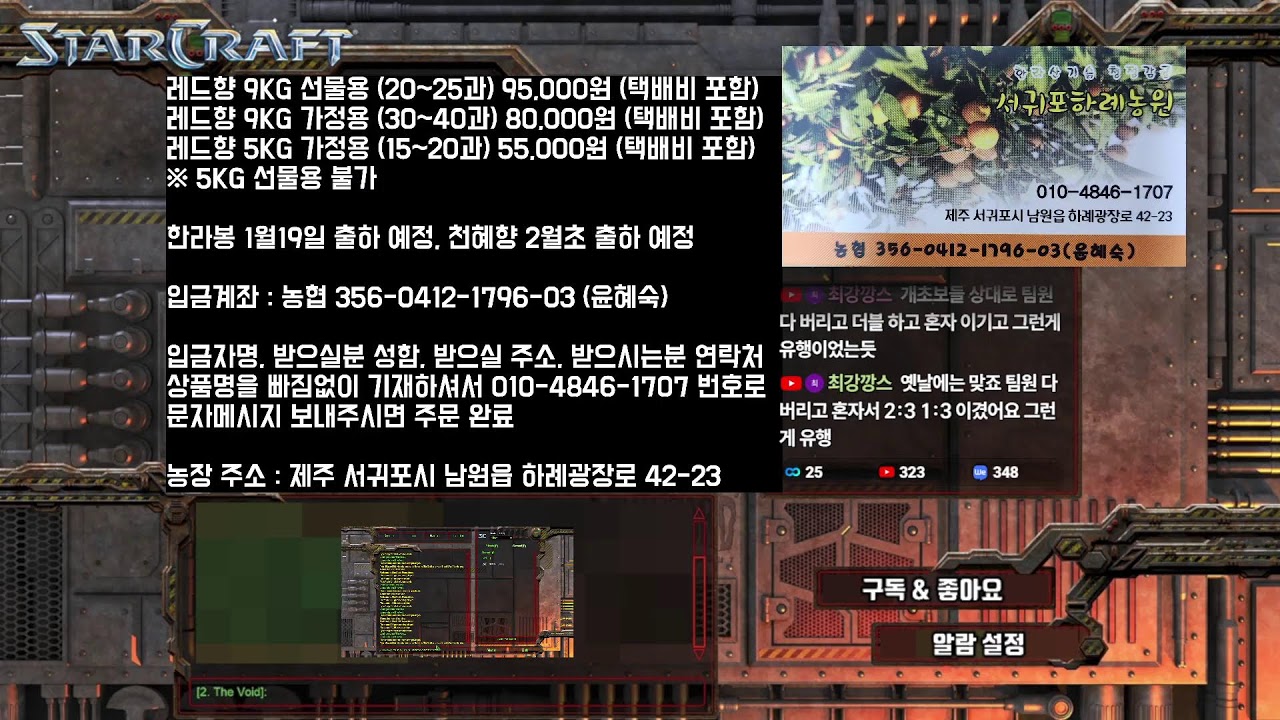 26.1.23(금) 로카 스타 빨무 스타크래프트 빠른무한 Starcraft