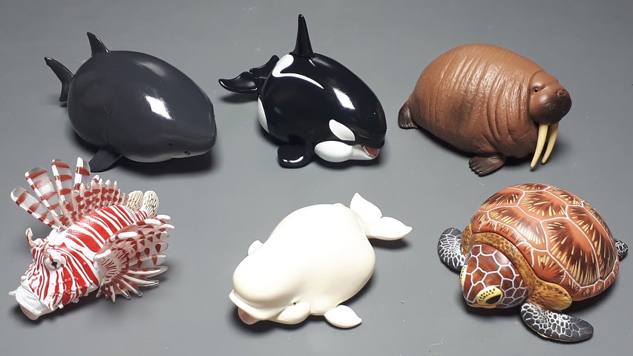 Sealife Set by Animal Heavenly Body blind box PVC figure deformed cute toy whale Marine Ocean Sea