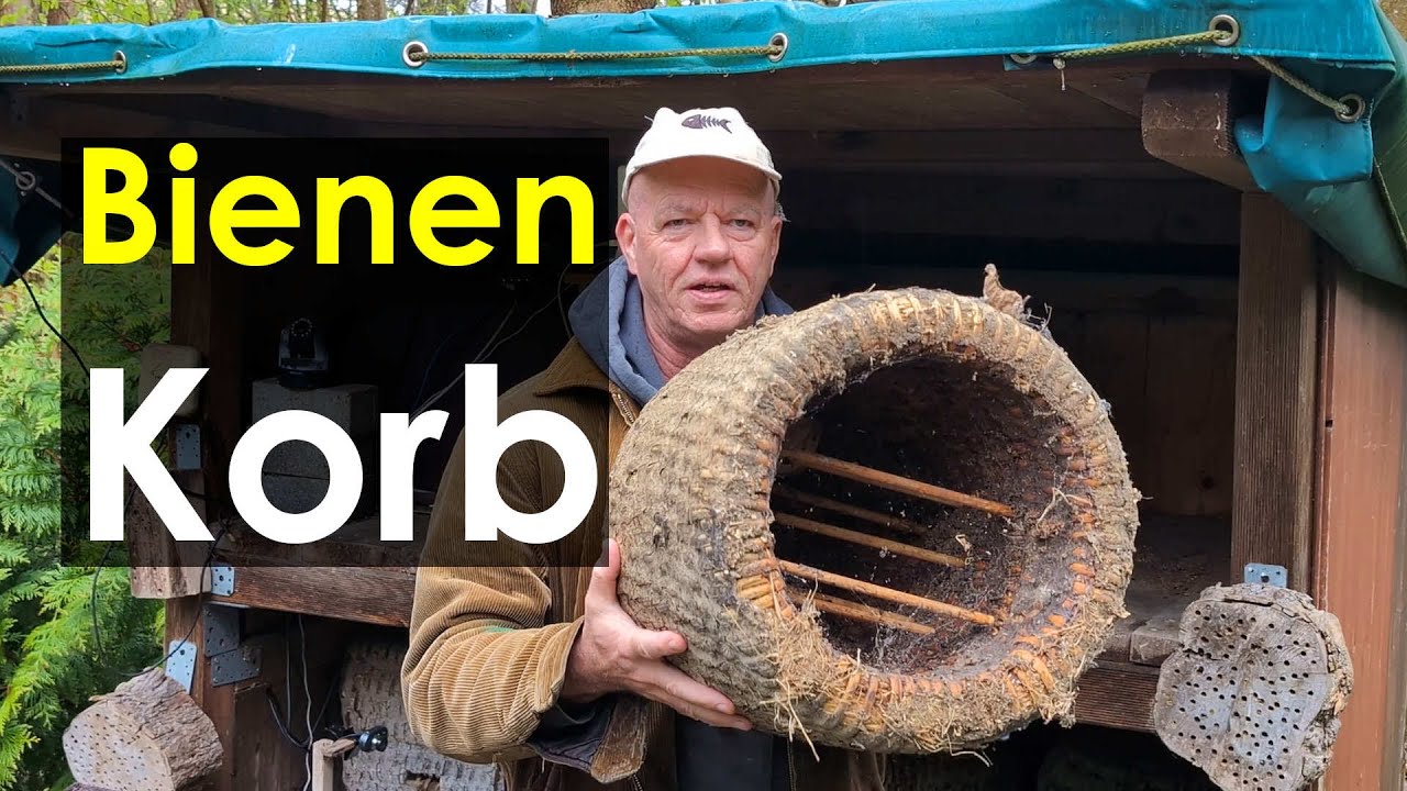 Heideimkerei - Bienenkorb: Habt Ihr Lust auf ein neues Korbvolk? Korbbienenstand Nordbiene