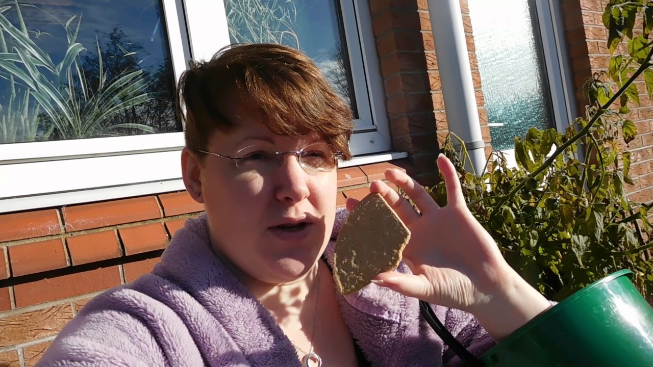 Trusty Buckets & Oatcakes! Vlog Week 30