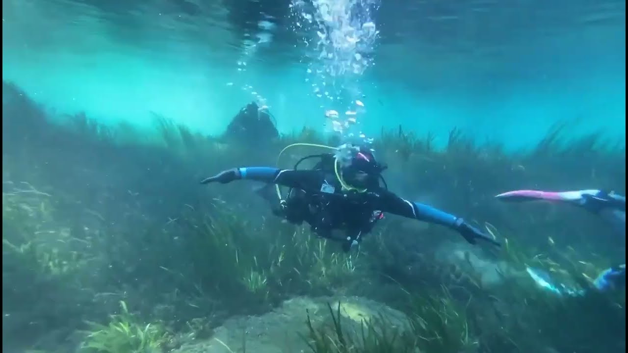 Drift Dive at Crystal River