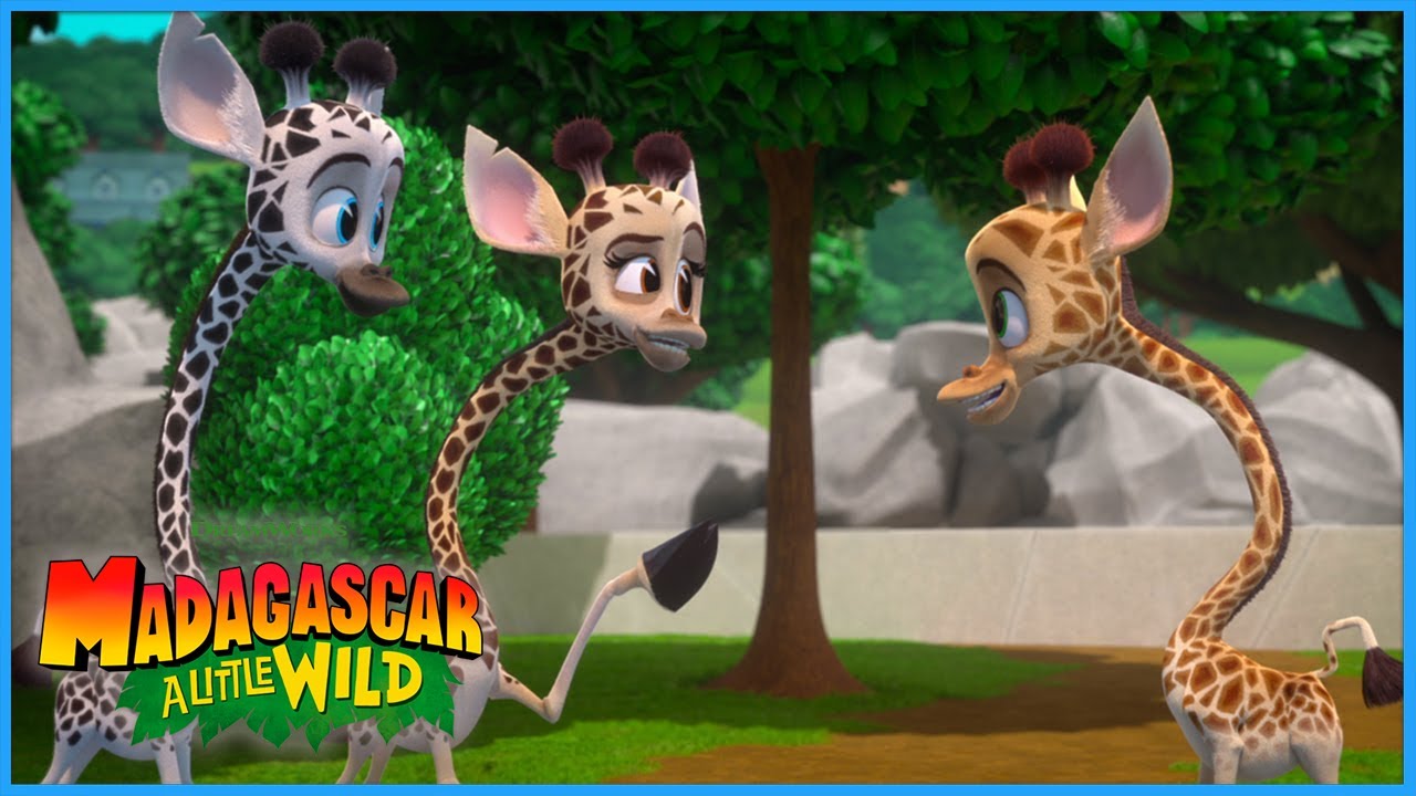 Melman joins a giraffe herd! 🦒 | Madagascar: A Little Wild | DreamWorks Madagascar