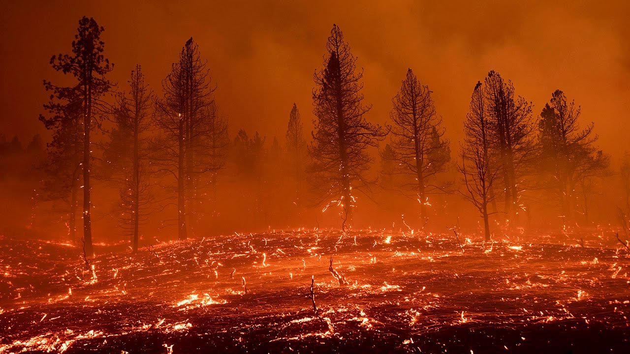 Giant fire tornado in northern California wildfire
