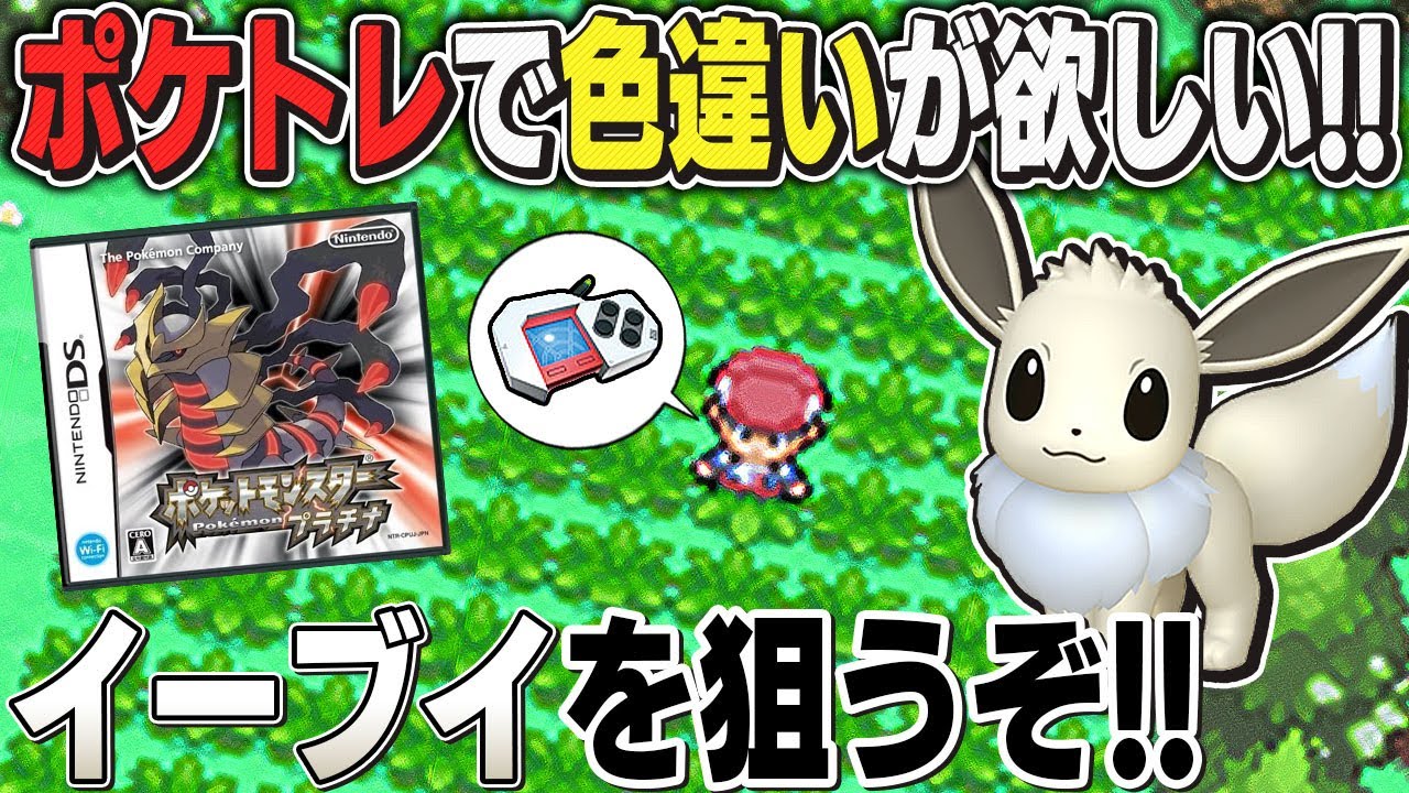 【ポケモン】プラチナで『ポケトレ』色違い厳選するぞｗｗ色違いイーブイをマスターボールでゲットしたいｗｗ【口の悪いオーキド博士】【柊みゅう】#ポケモン #ポケットモンスター