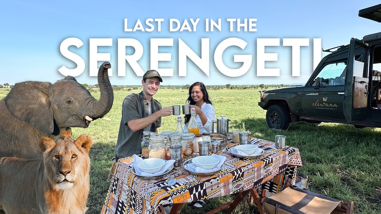 Tanzania Safari VLOG - Our Last Day in the Serengeti