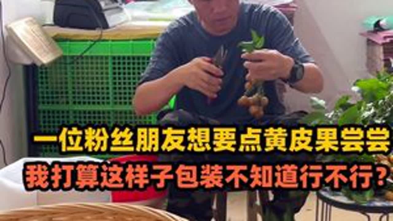 给一位粉丝朋友摘点黄皮果寄过去，第一次发，你们看这样包装行吗 #农村 #黄皮果 #快递打包 #我的乡村生活 #广西