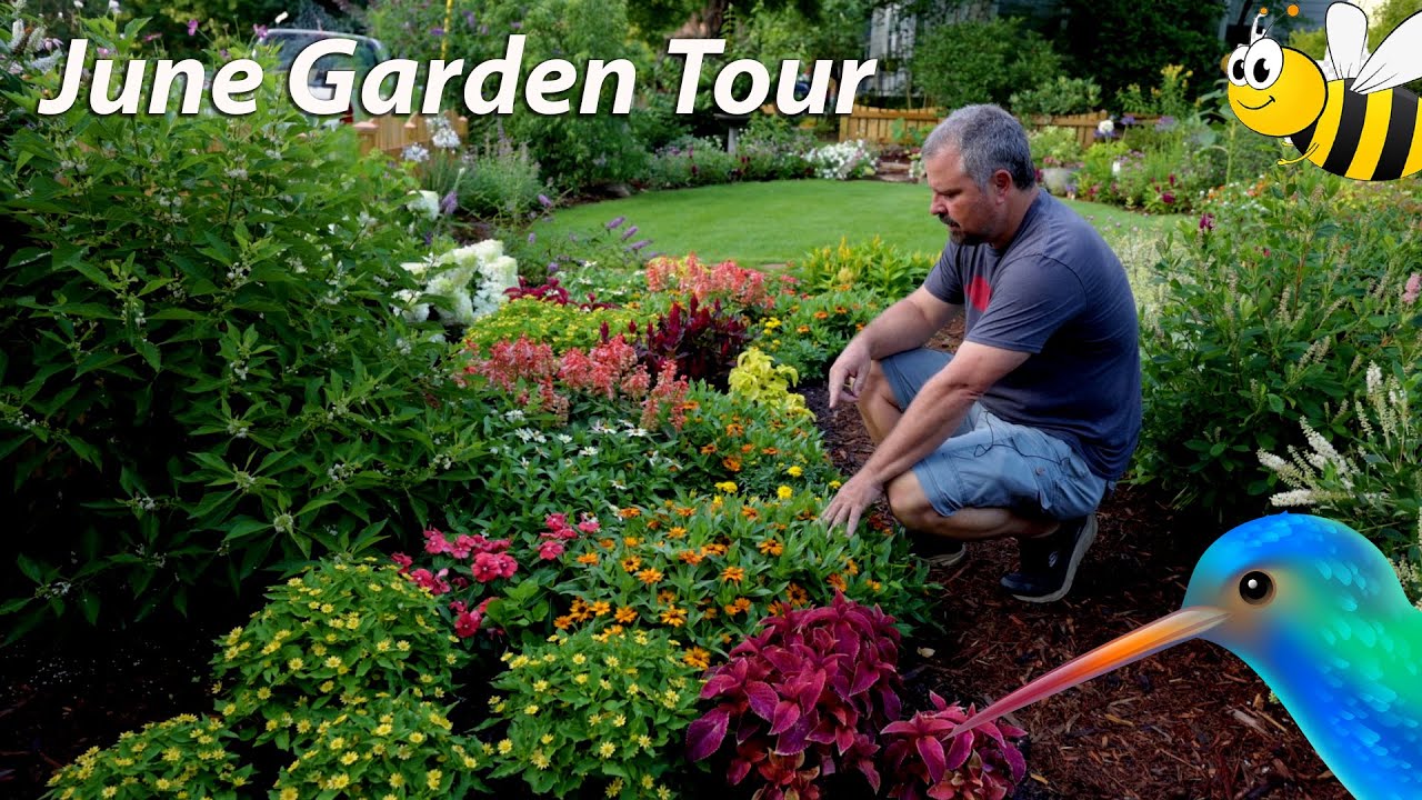 July Garden Tour - Small Space Garden - Pollinator Garden