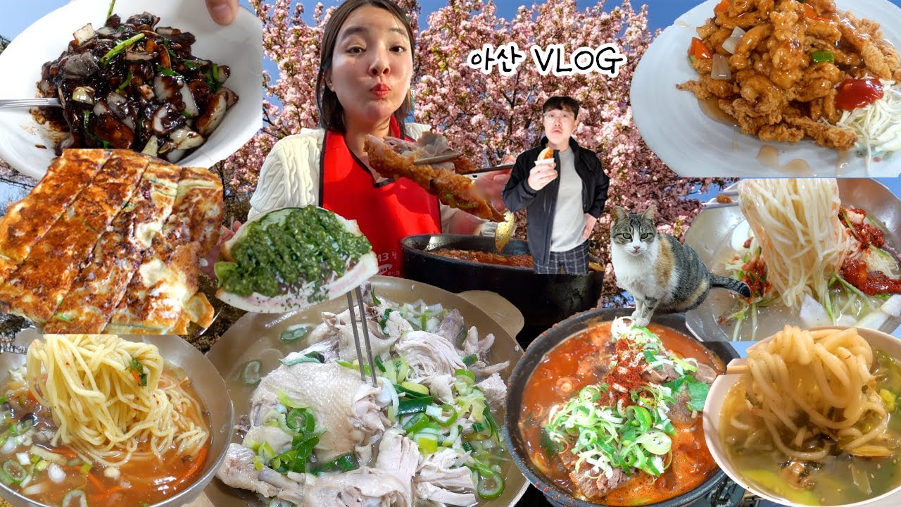 [뼈해장국편] 뷰맛집⛵️곁들임 맛집 아산여행 먹방브이로그(탕수육,간짜장,광덕산 등산,파전,비빔국수포장마차거리,밀면,닭수육,바질 샌드위치,현충사,신정호,호떡) MUKBANG VLOG