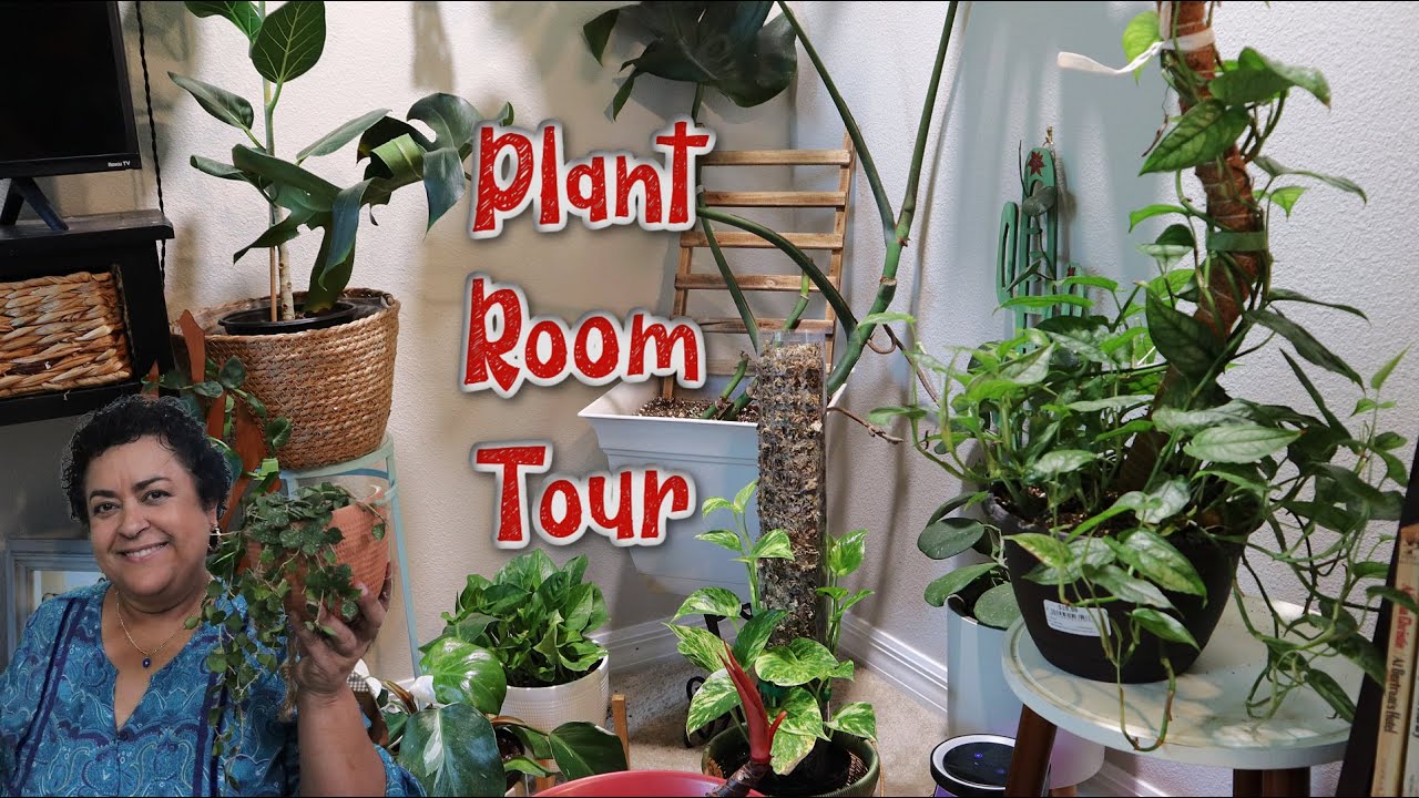 Jungle vibes at home: Plant Room Tour 2023 🌱.