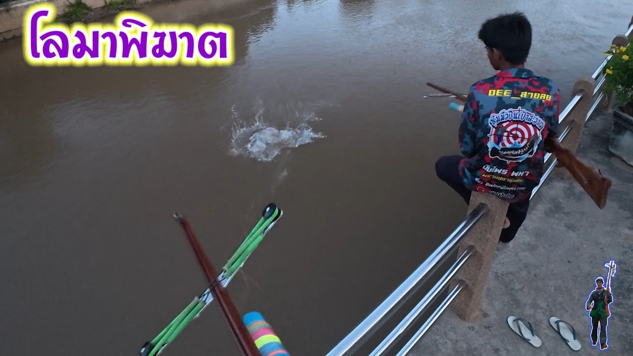 ขอแบบโลมาก็ได้โลมา