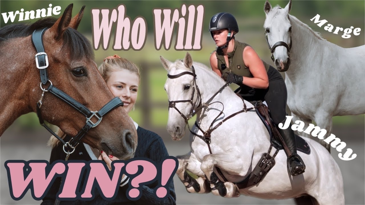 All My Horses Against Each Other!!