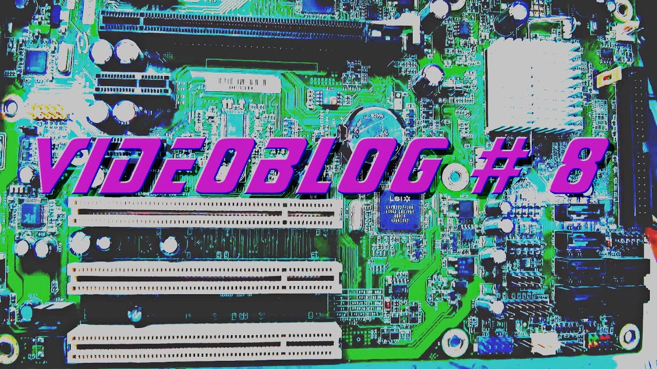 Видеодневник 8