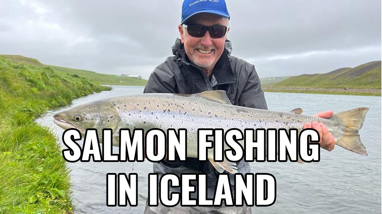 Salmon Fishing in Iceland - Salmon Fishing on the River Blanda