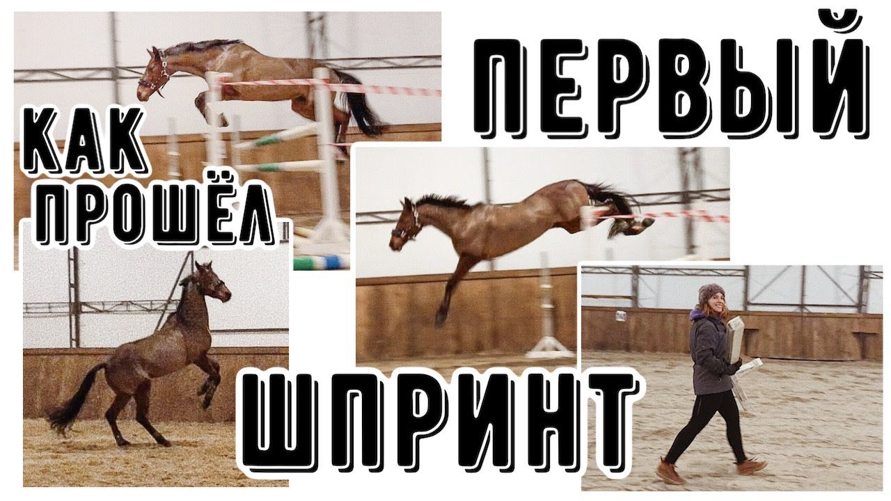 Свободное напрыгивание моей лошади/день из жизни конника🐴❤️